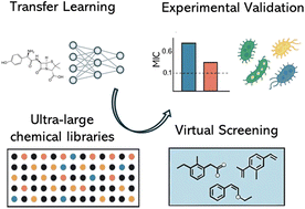 Transfer learning enables discovery of sub-micromolar antibacterials for ESKAPE pathogens from ultra-large chemical spaces
