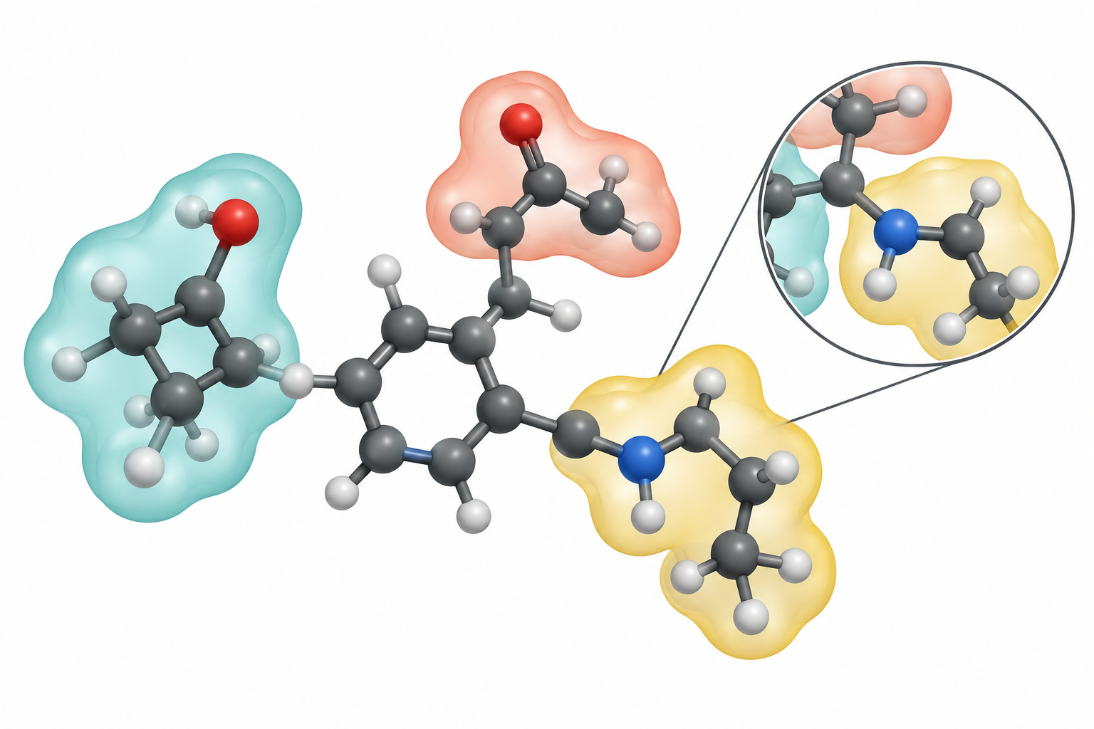 Conceptual illustration of molecular surface regions and a magnified atom-level detail.