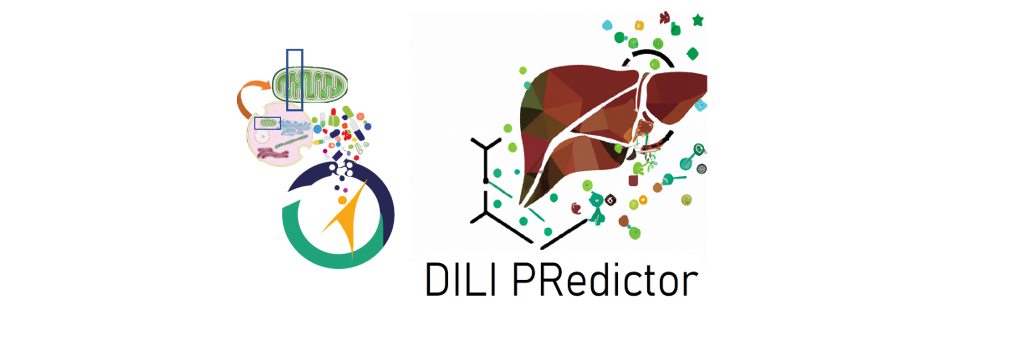 DILI Predictor Image